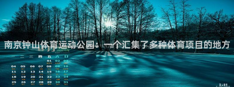 米兰体育官方正版app代理:南京钟山体育运动公园:一个汇集了